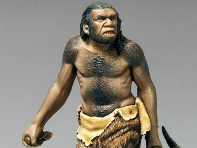 Paling berikut primitif yang di adalah ditemukan indonesia fosil yang pernah Sejarah, Jenis