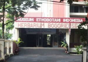 Sejarah Museum Etnobotani Bogor