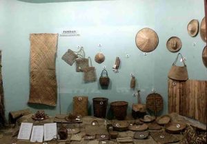 Koleksi Museum Etnobotani Bogor